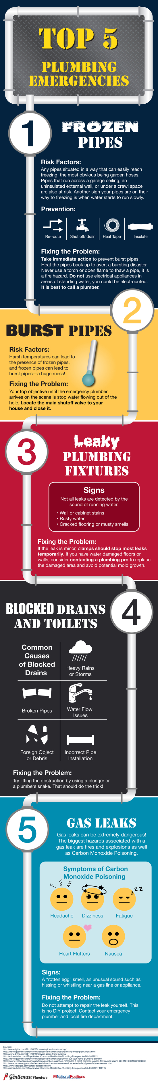 Infographic showing the top 5 plumbing emergencies